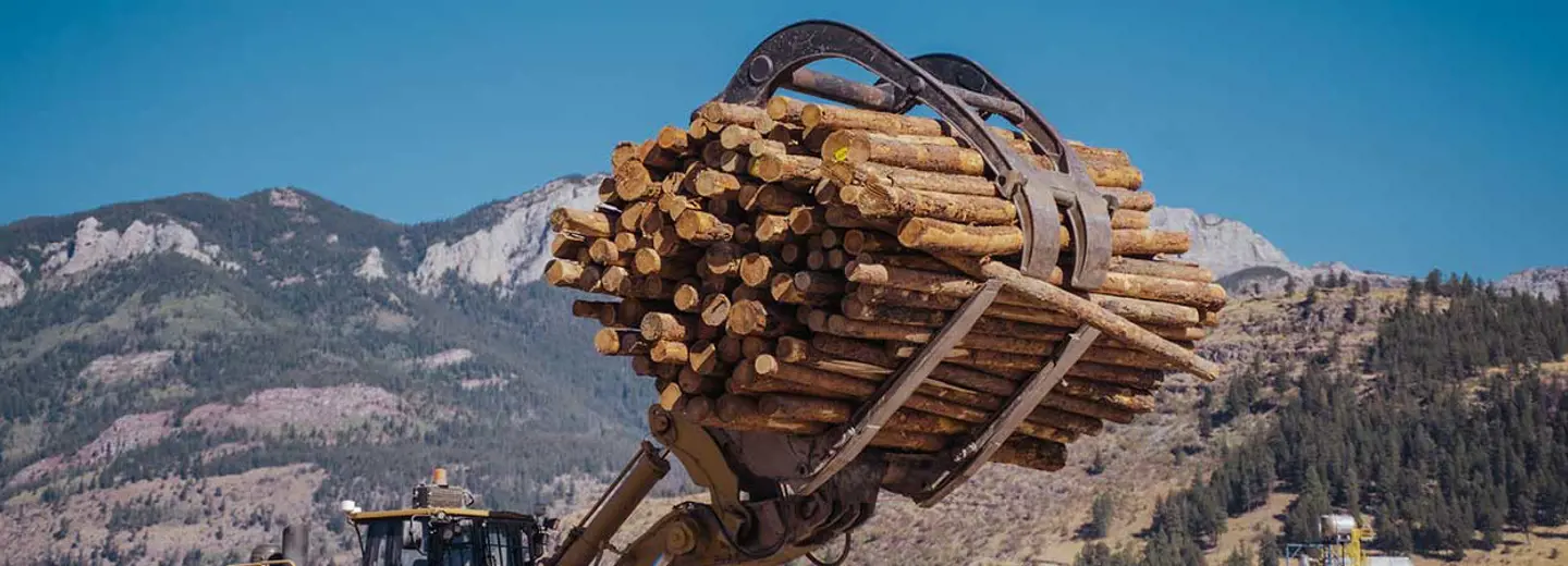 Your Pacific Blue Cross Member Profile background picture